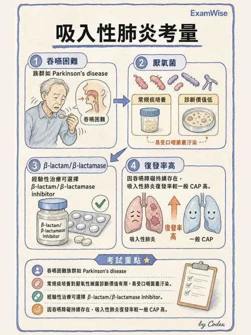 呼吸治療師 - 感染性肺疾 - AI 圖文解析預覽