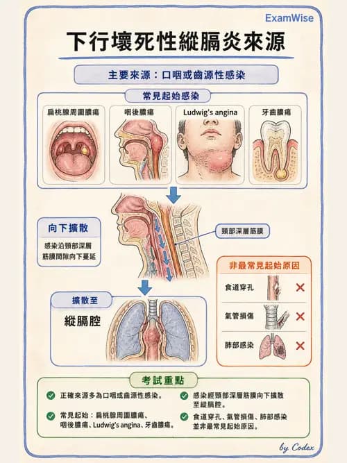 呼吸治療師 - 感染性肺疾 - AI 圖文解析預覽