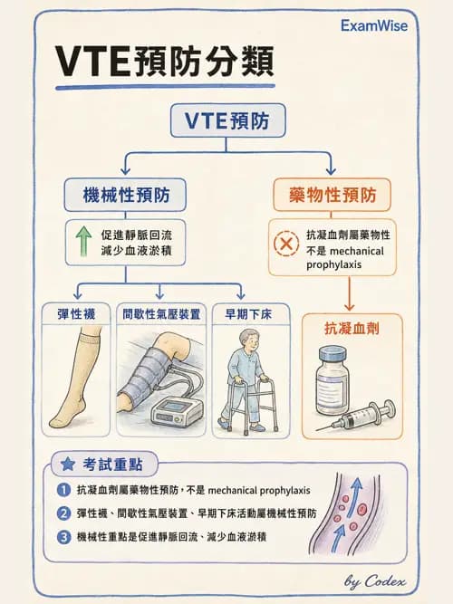 呼吸治療師 - 肺間質病變 - AI 圖文解析預覽