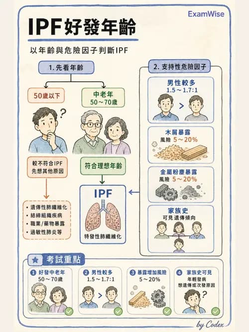 呼吸治療師 - 肺間質病變 - AI 圖文解析預覽