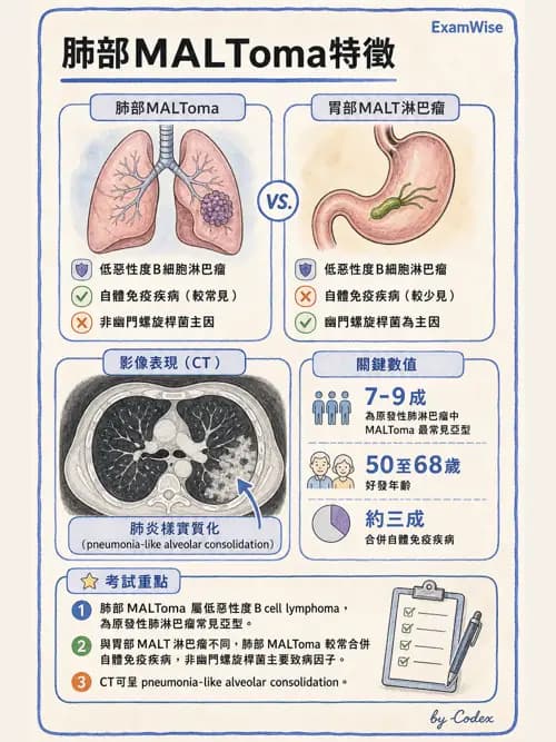 呼吸治療師 - 神經肌肉病變與腫瘤 - AI 圖文解析預覽