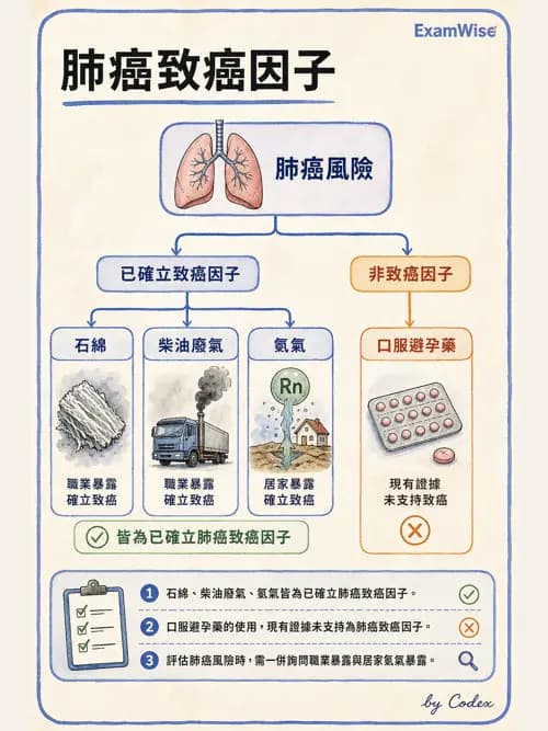 呼吸治療師 - 神經肌肉病變與腫瘤 - AI 圖文解析預覽