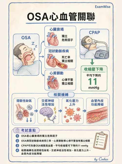 呼吸治療師 - 睡眠相關呼吸障礙 - AI 圖文解析預覽