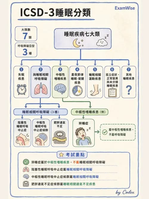 呼吸治療師 - 睡眠相關呼吸障礙 - AI 圖文解析預覽