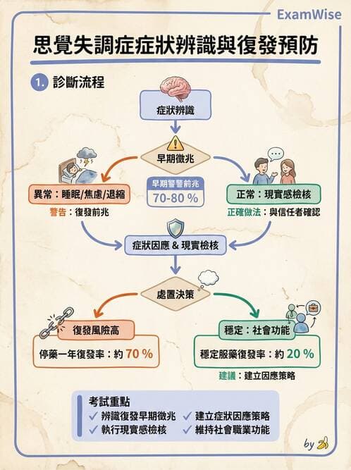 護理師 - 思覺失調症護理 - AI 圖文解析預覽