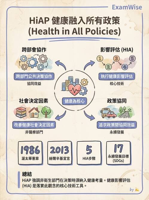 護理師 - 健康照護體系與健康政策 - AI 圖文解析預覽