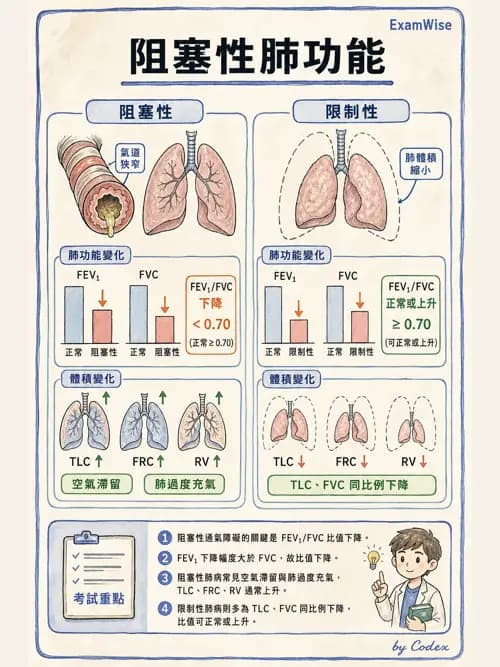 呼吸治療師 - 通氣、呼吸力學與控制 - AI 圖文解析預覽