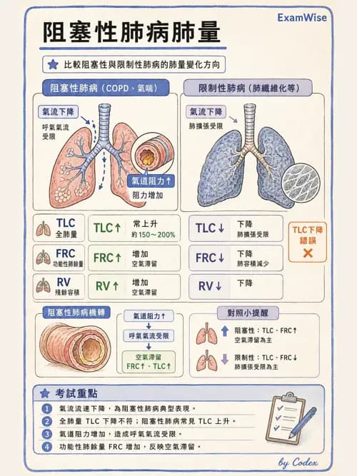 呼吸治療師 - 通氣、呼吸力學與控制 - AI 圖文解析預覽