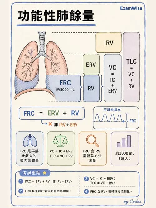 呼吸治療師 - 通氣、呼吸力學與控制 - AI 圖文解析預覽