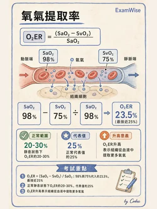 呼吸治療師 - 氣體擴散、交換與肺部代謝 - AI 圖文解析預覽