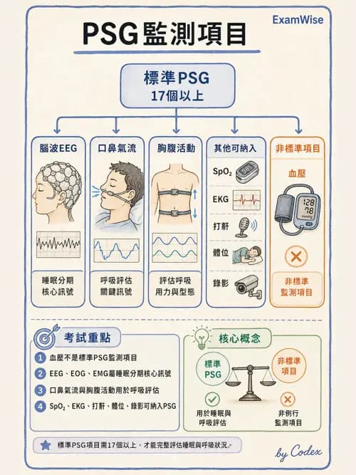 呼吸治療師 - 通氣、呼吸力學與控制 - AI 圖文解析預覽