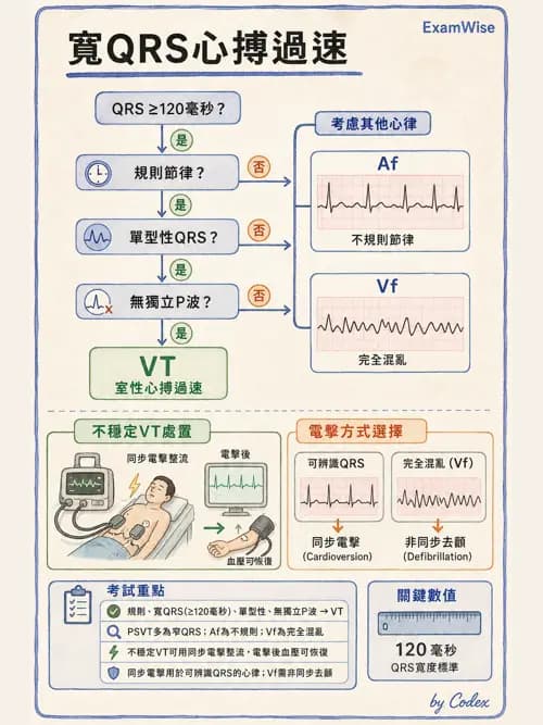 呼吸治療師 - 心臟生理與血液動力學 - AI 圖文解析預覽