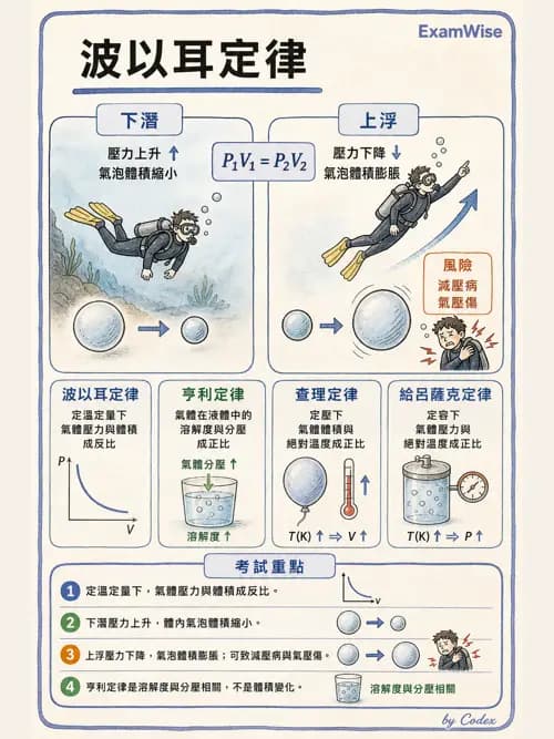 呼吸治療師 - 運動與環境生理 - AI 圖文解析預覽