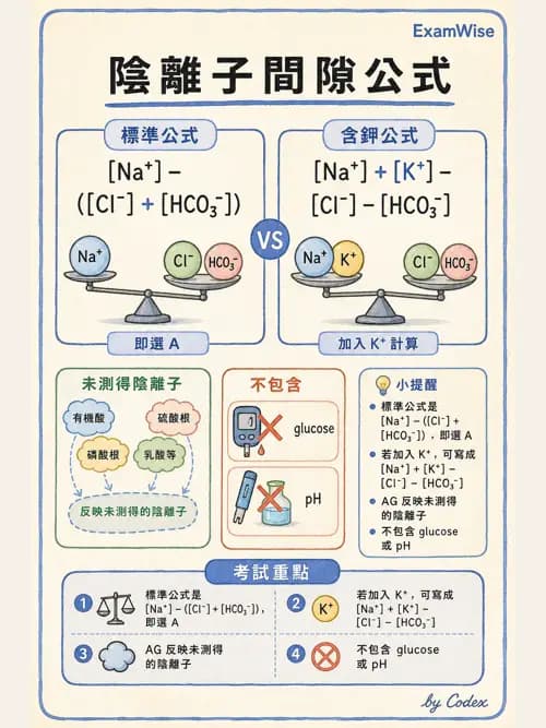 呼吸治療師 - 酸鹼平衡與腎臟生理 - AI 圖文解析預覽