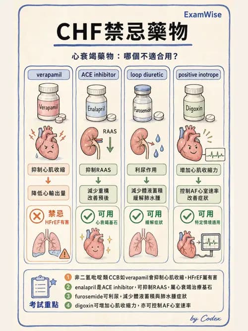 呼吸治療師 - 心臟血管藥物 - AI 圖文解析預覽