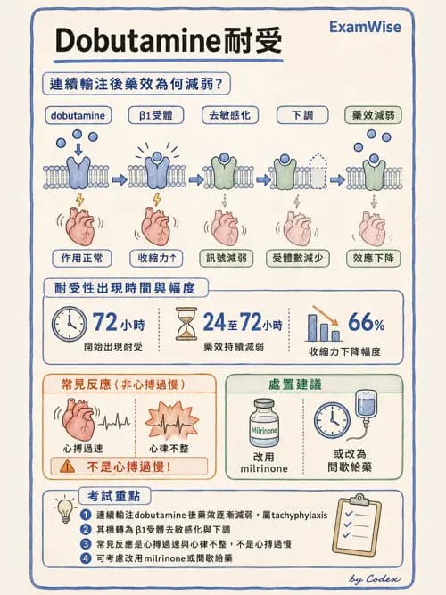 呼吸治療師 - 心臟血管藥物 - AI 圖文解析預覽