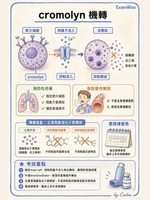 呼吸治療師 - 呼吸系統藥物 - AI 圖文解析預覽
