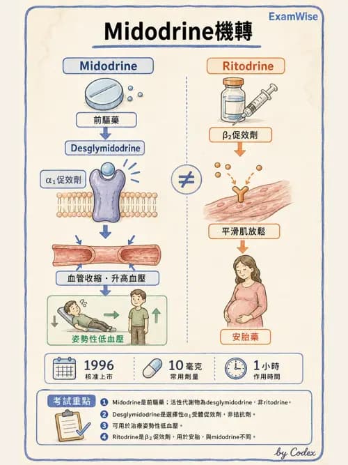 呼吸治療師 - 神經系統藥物 - AI 圖文解析預覽