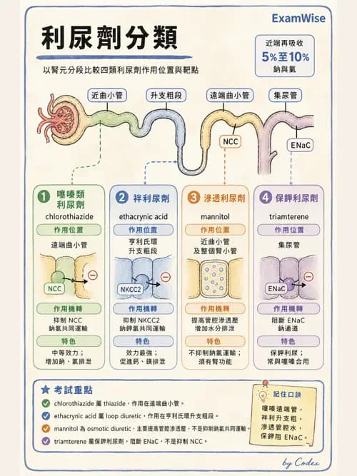 呼吸治療師 - 心臟血管藥物 - AI 圖文解析預覽