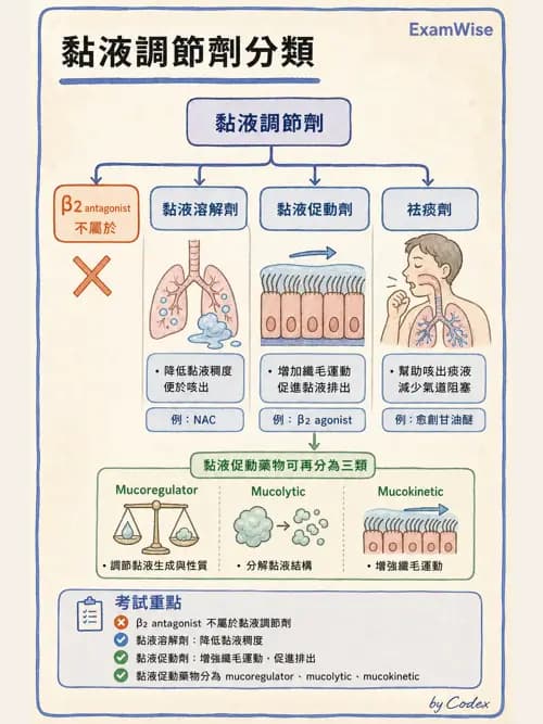 呼吸治療師 - 呼吸系統藥物 - AI 圖文解析預覽
