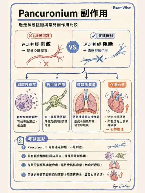 呼吸治療師 - 神經系統藥物 - AI 圖文解析預覽