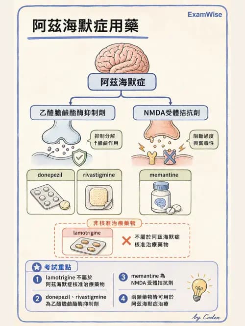 呼吸治療師 - 神經系統藥物 - AI 圖文解析預覽