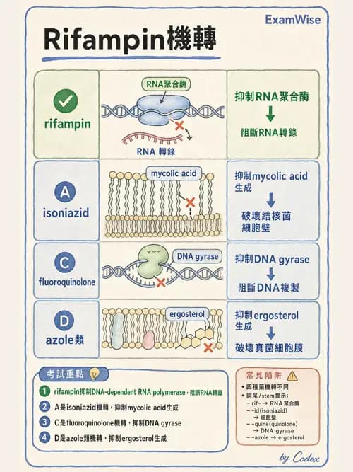 呼吸治療師 - 藥理學概論與抗感染藥物 - AI 圖文解析預覽