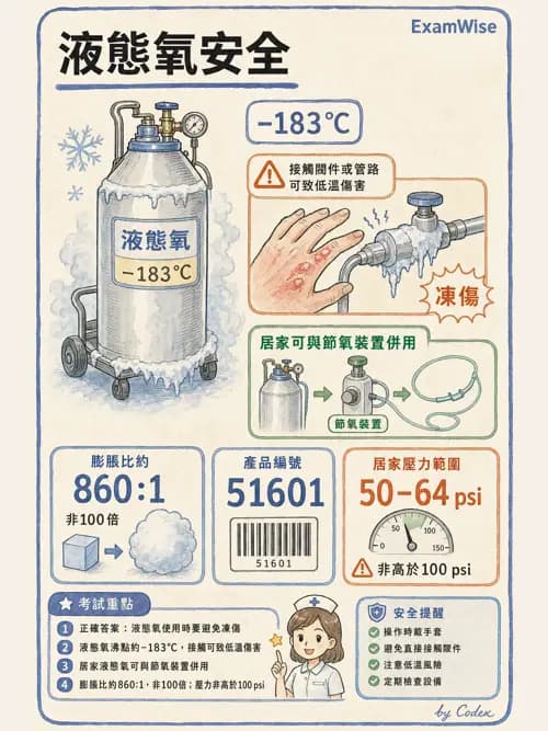 呼吸治療師 - 氣體輸送系統與氧氣治療 - AI 圖文解析預覽