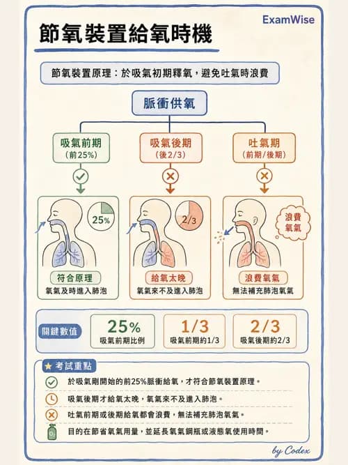 呼吸治療師 - 氣體輸送系統與氧氣治療 - AI 圖文解析預覽
