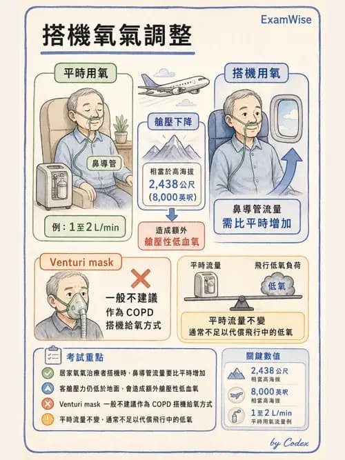呼吸治療師 - 長期呼吸照護 - AI 圖文解析預覽