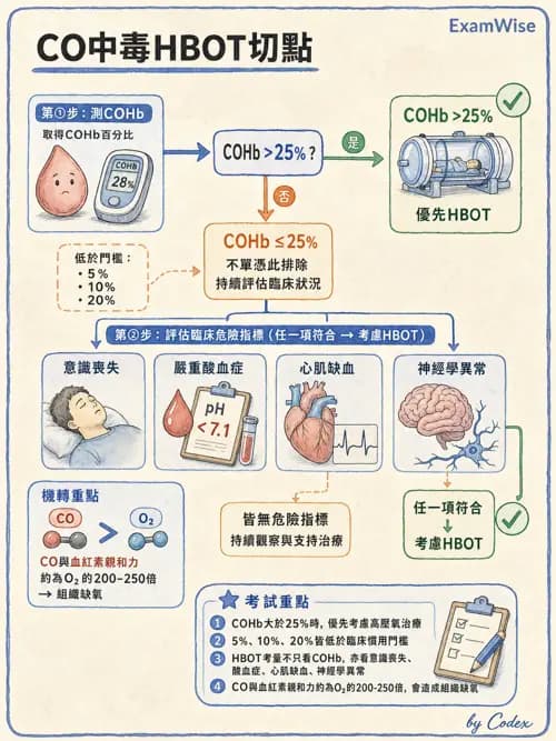 呼吸治療師 - 高壓氧治療 - AI 圖文解析預覽