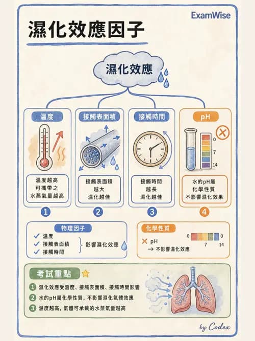 呼吸治療師 - 濕氣與霧氣治療 - AI 圖文解析預覽