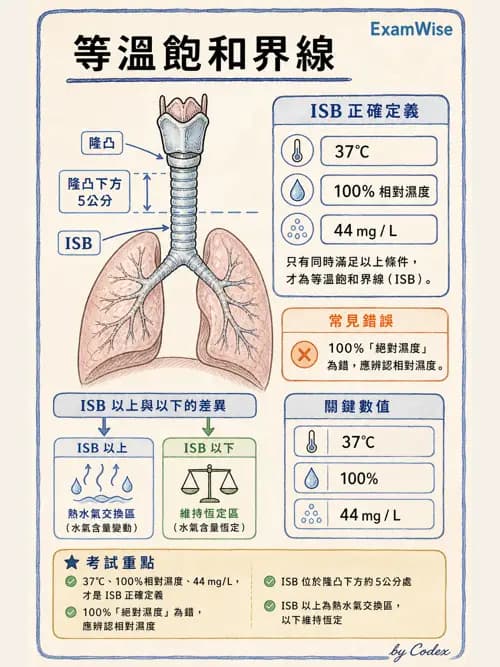 呼吸治療師 - 濕氣與霧氣治療 - AI 圖文解析預覽