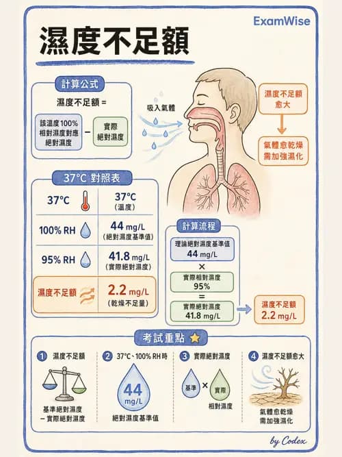呼吸治療師 - 濕氣與霧氣治療 - AI 圖文解析預覽