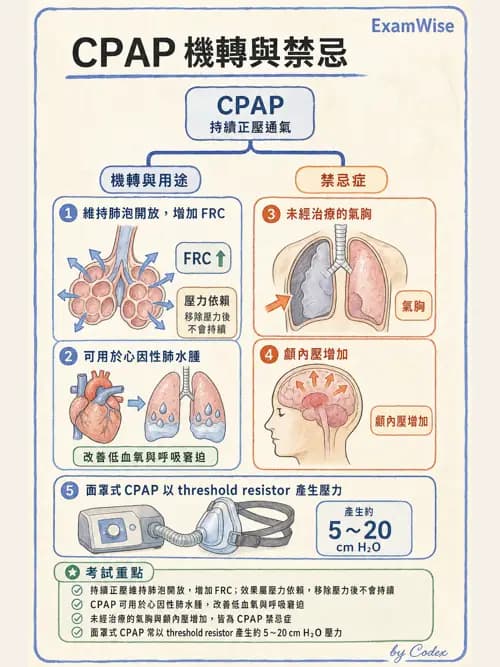 呼吸治療師 - 痰液清除與擴張治療 - AI 圖文解析預覽