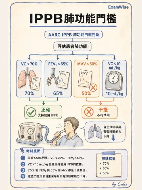 呼吸治療師 - 痰液清除與擴張治療 - AI 圖文解析預覽