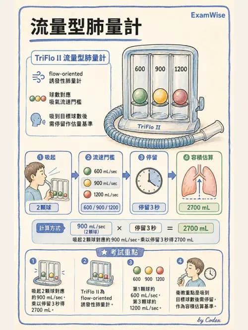 呼吸治療師 - 痰液清除與擴張治療 - AI 圖文解析預覽
