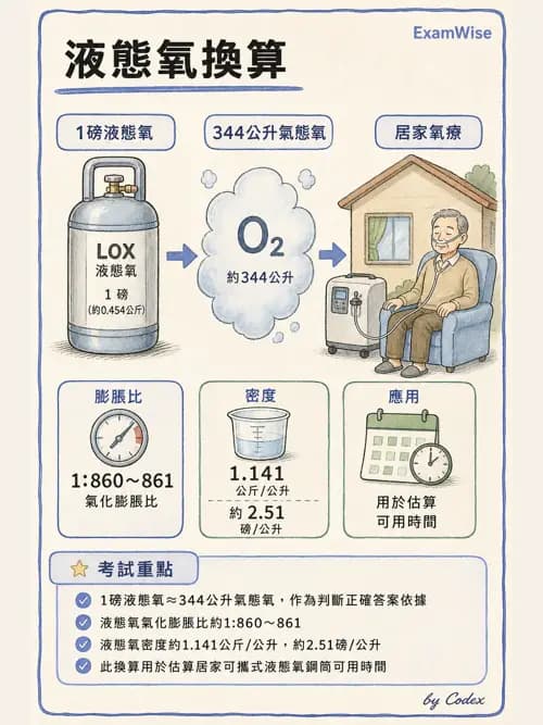 呼吸治療師 - 長期呼吸照護 - AI 圖文解析預覽