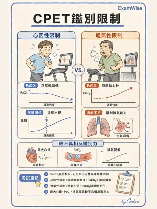 呼吸治療師 - 長期呼吸照護 - AI 圖文解析預覽