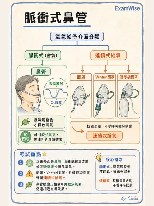 呼吸治療師 - 氣體輸送系統與氧氣治療 - AI 圖文解析預覽