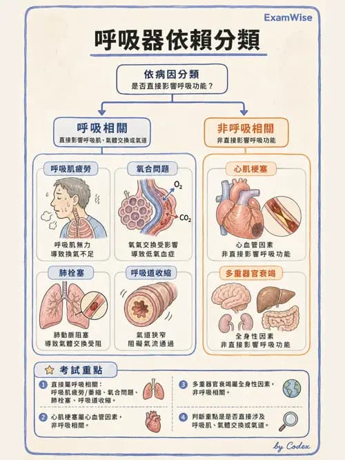 呼吸治療師 - 長期呼吸照護 - AI 圖文解析預覽