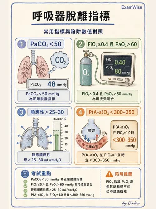 呼吸治療師 - 長期呼吸照護 - AI 圖文解析預覽