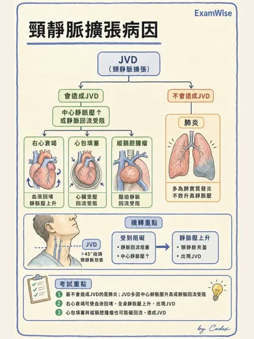 呼吸治療師 - 呼吸治療臨床作業與身體評估 - AI 圖文解析預覽