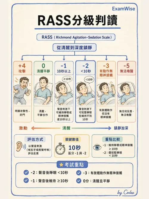 呼吸治療師 - 呼吸治療臨床作業與身體評估 - AI 圖文解析預覽