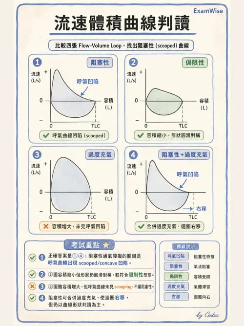 呼吸治療師 - 呼吸功能檢查 - AI 圖文解析預覽