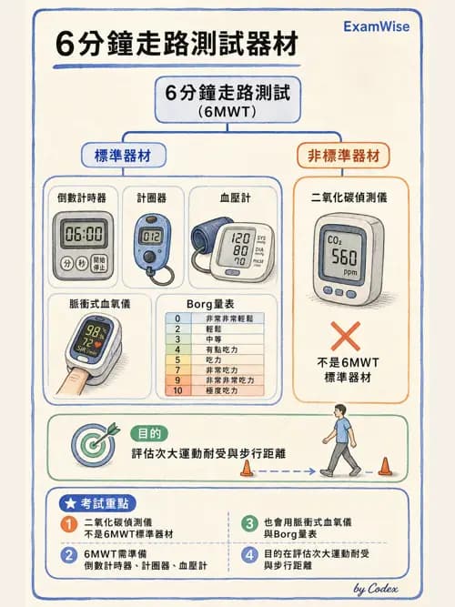 呼吸治療師 - 呼吸功能檢查 - AI 圖文解析預覽
