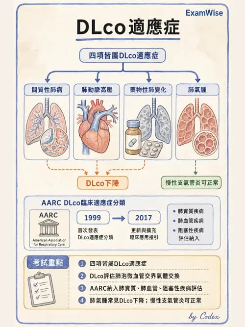 呼吸治療師 - 呼吸功能檢查 - AI 圖文解析預覽
