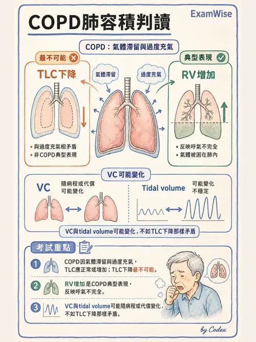 呼吸治療師 - 呼吸功能檢查 - AI 圖文解析預覽