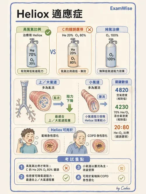 呼吸治療師 - 氣體輸送系統與氧氣治療 - AI 圖文解析預覽