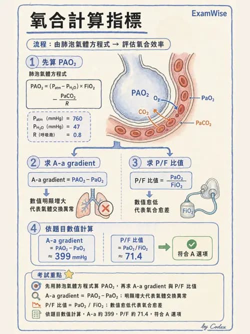 呼吸治療師 - 動脈血液氣體分析與氧合評估 - AI 圖文解析預覽